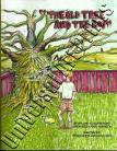 OLD TREE & THE BOY
